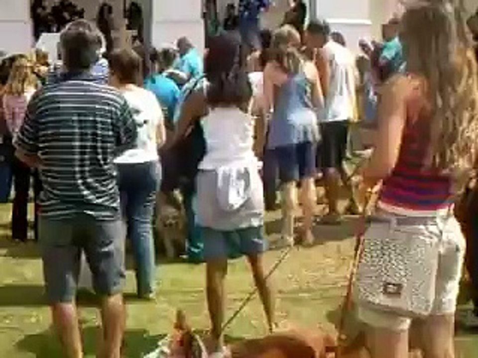 Benção dos Animais