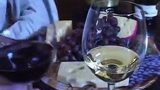 Confira as dicas para degustação de um bom vinho