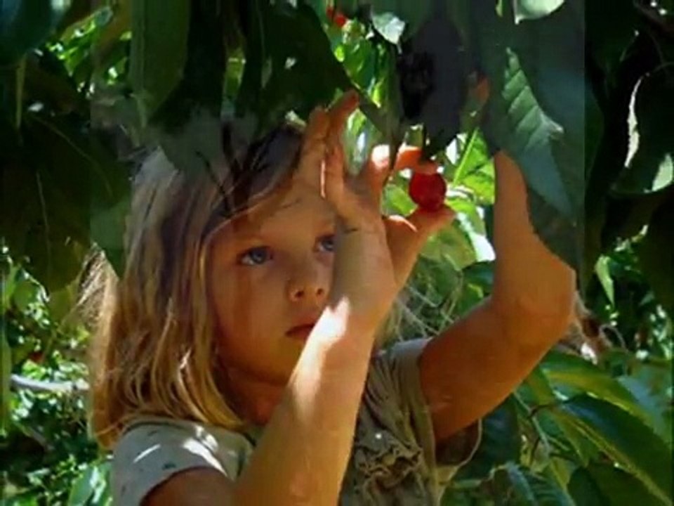 hammana Lebanon  حمانا  لبنان