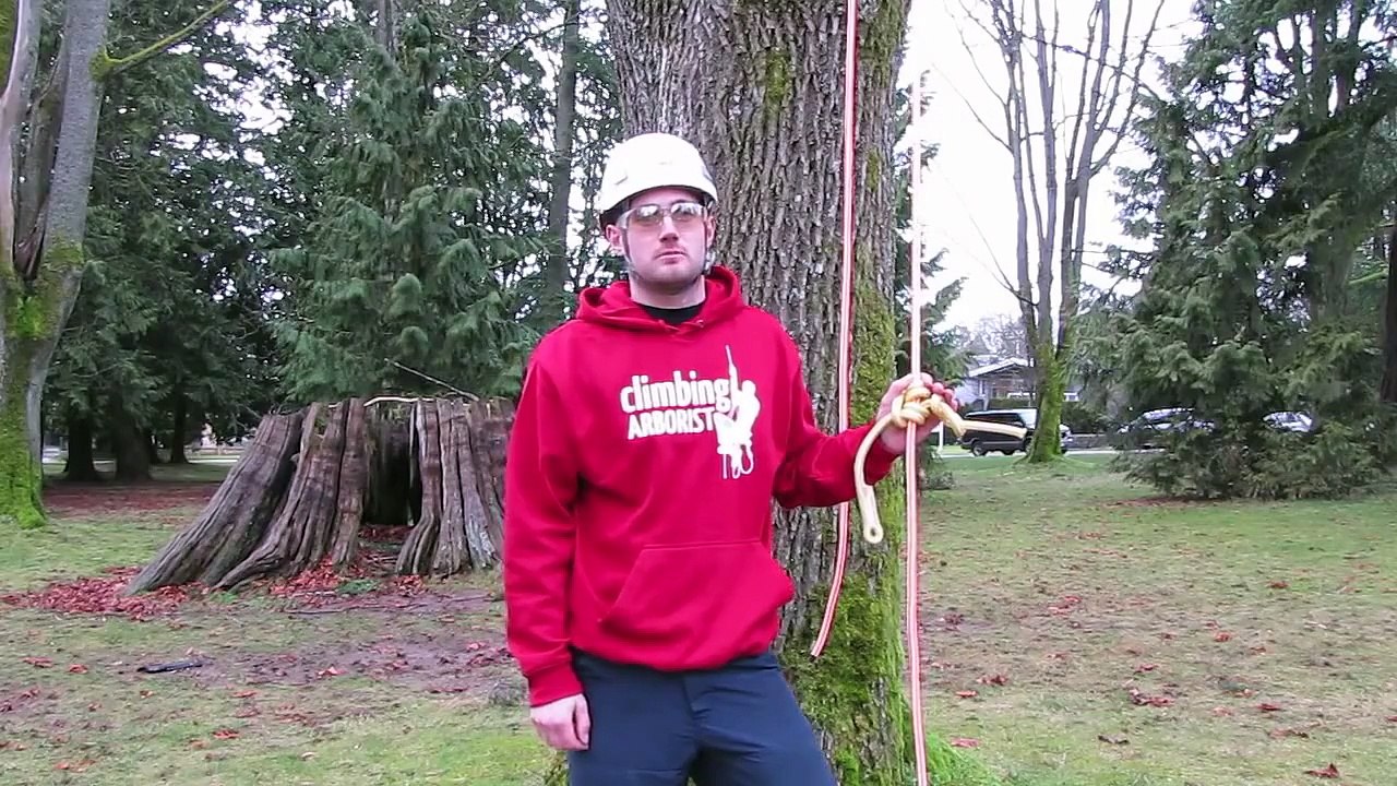 How to tie a blake's hitch for tree climbing