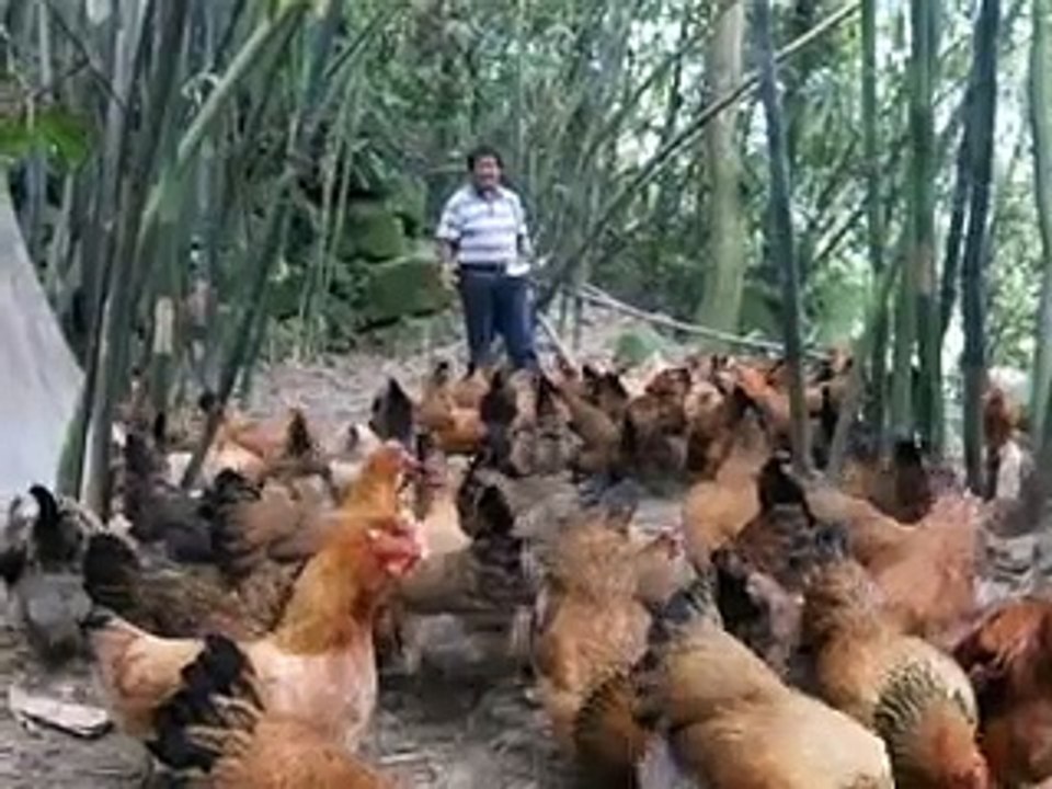 南庄_飯盆頭餐廳