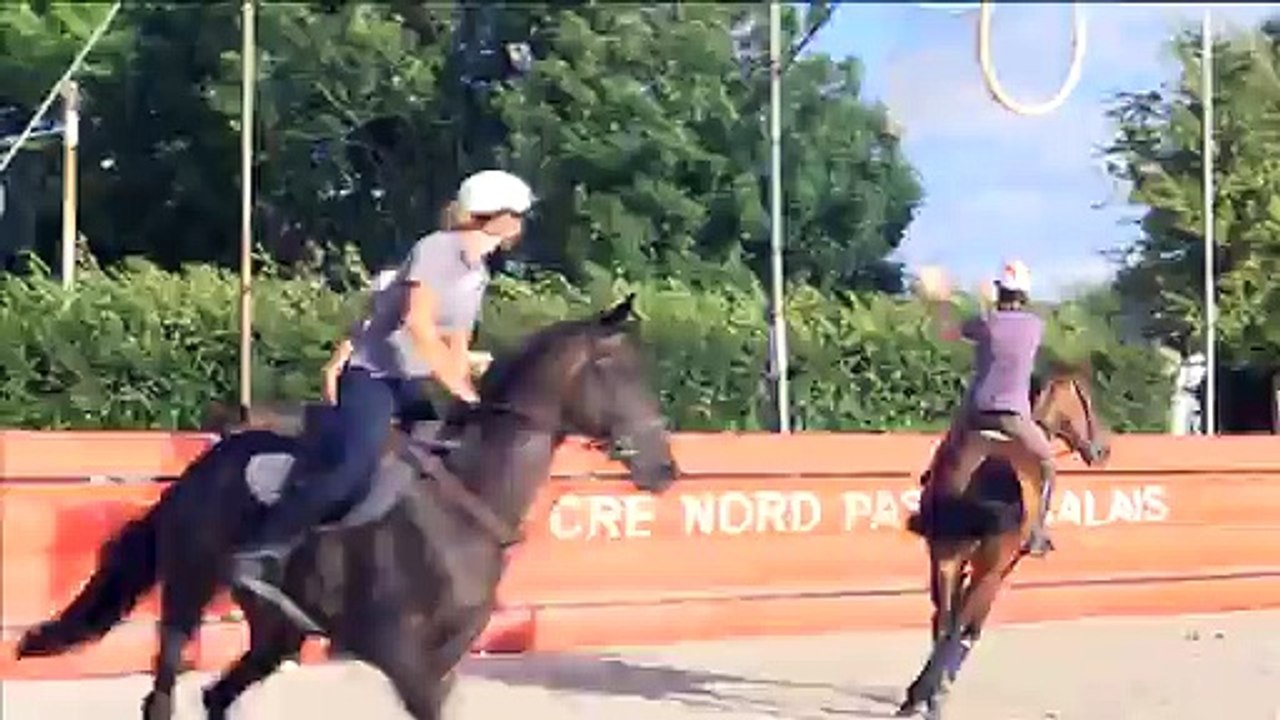 Le Horse-Ball version féminine