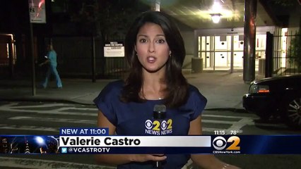 Valerie Castro  - Satin Blouse Blue