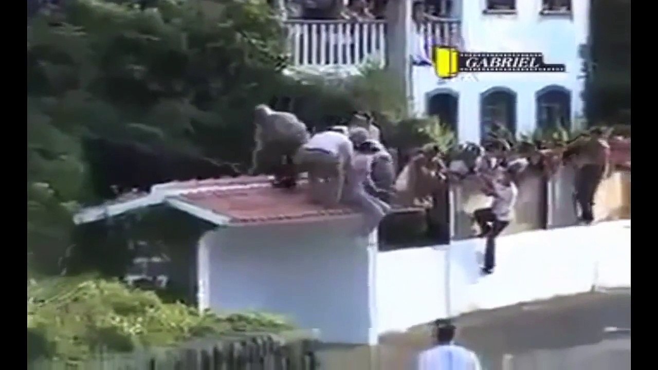 Attack Animal Kills the People 2015