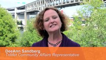 BridgeView, Episode 2: Why a Cable-Stayed Bridge Design?
