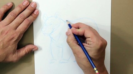 Cómo dibujar un Oso - How to draw a Bear