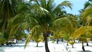 Tour of South Water Caye, Belize