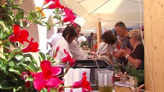 Montafon.TV - Street Food Festival Bludenz