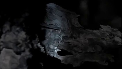 Yılanın Yarasa Avı - Nadir Görüntüler!