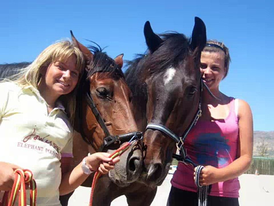 The Best Horses In The WORLD!