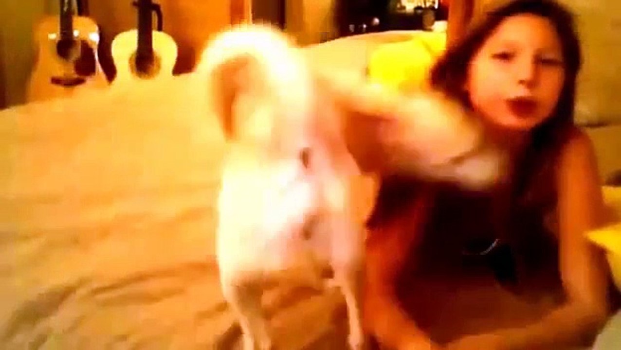 Best Funny dog animal,  my friends  keep enjoying with her funny dog  ^ ^