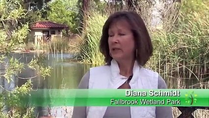 San Diego Native Garden Tour