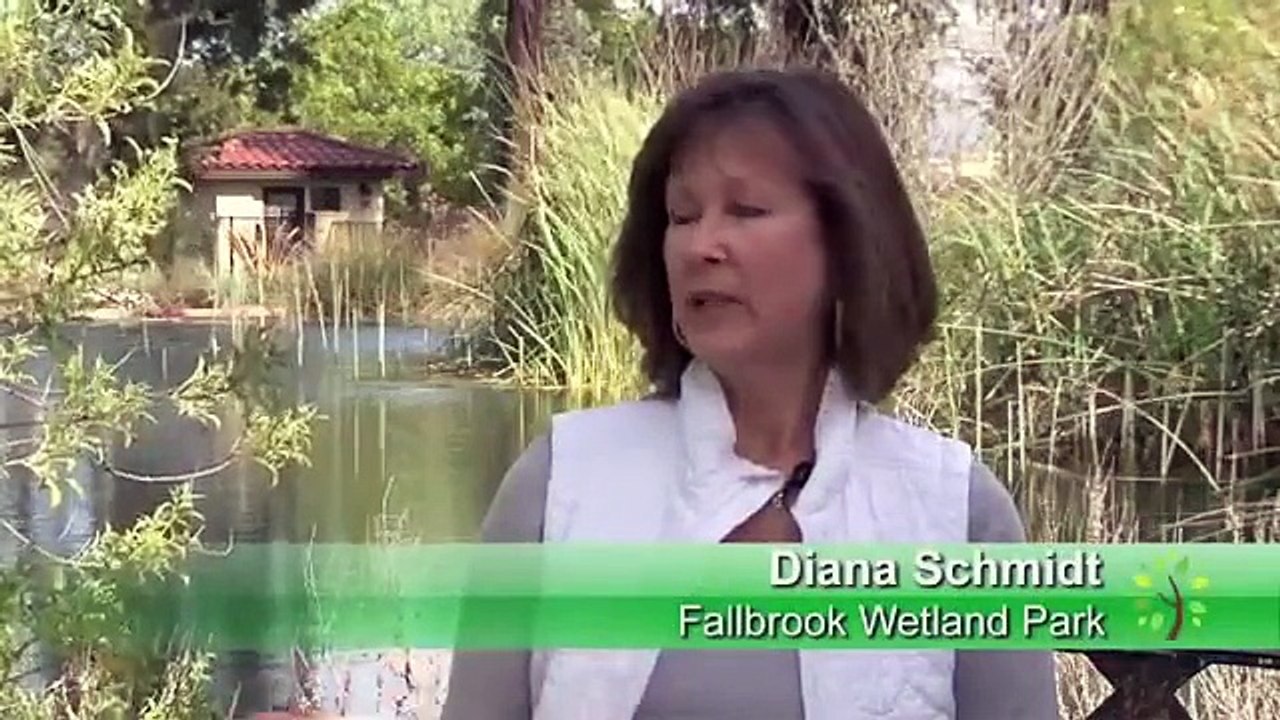 San Diego Native Garden Tour