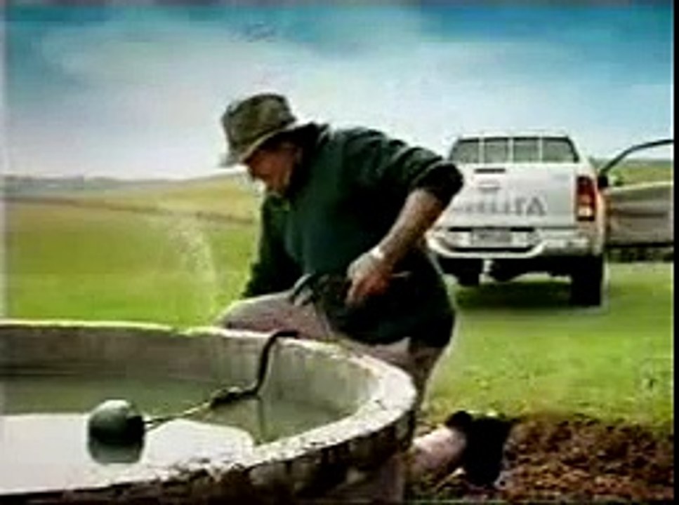 Funny Cow Video