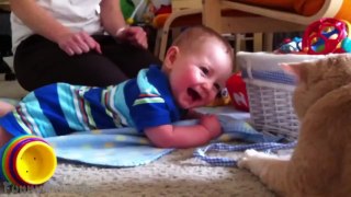 Funny Animals   Funny babies   Funny Video   Best Compilation