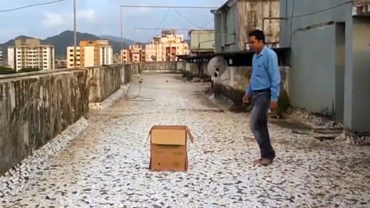 Magic Show