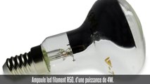 Ampoule led filament R50, 4W, 70°, 320 lm, blanc chaud