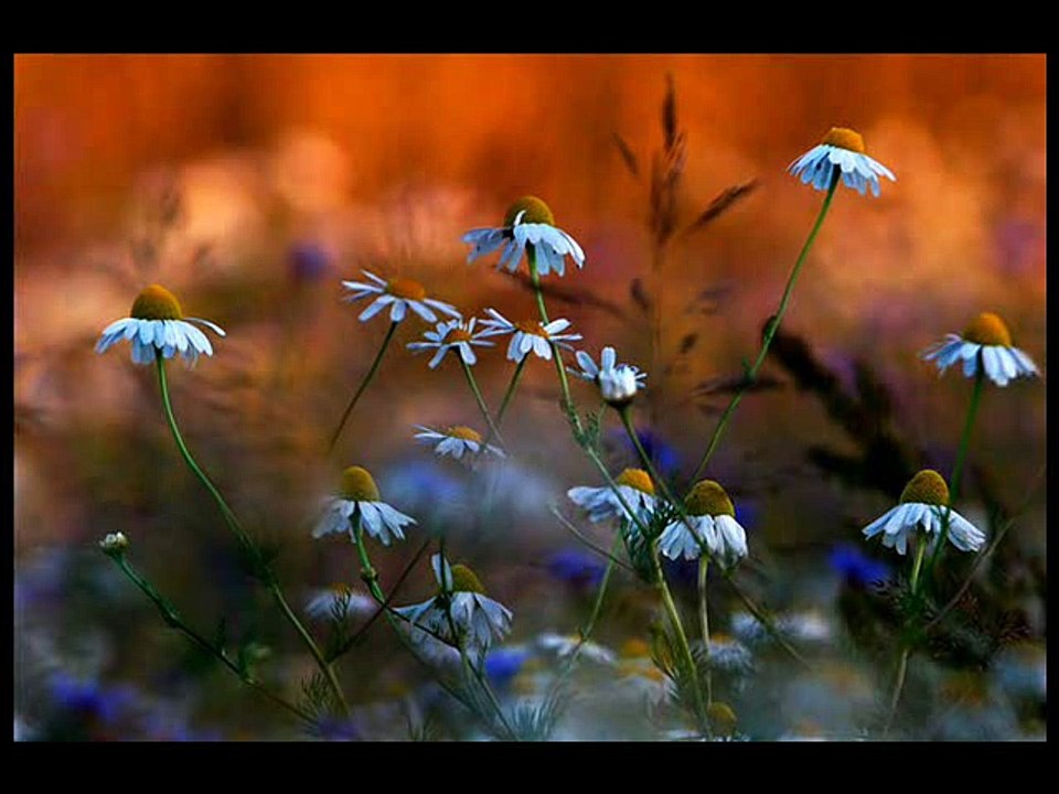 Blank And Jones - Nuits Blanches