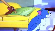 Tom and Jerry Episode 061   Nit Witty Kitty 1951
