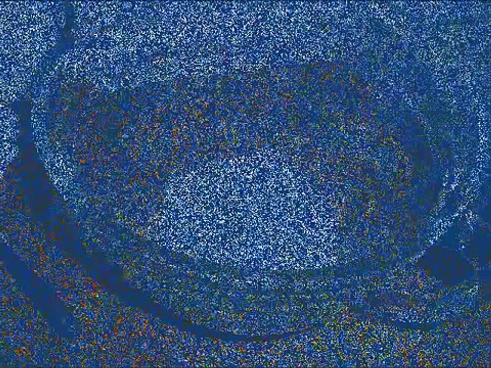 How to Make Chocolate Chip Cookies