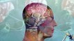 Endonasal Endoscopic Pituitary and Skull-Base Surgery