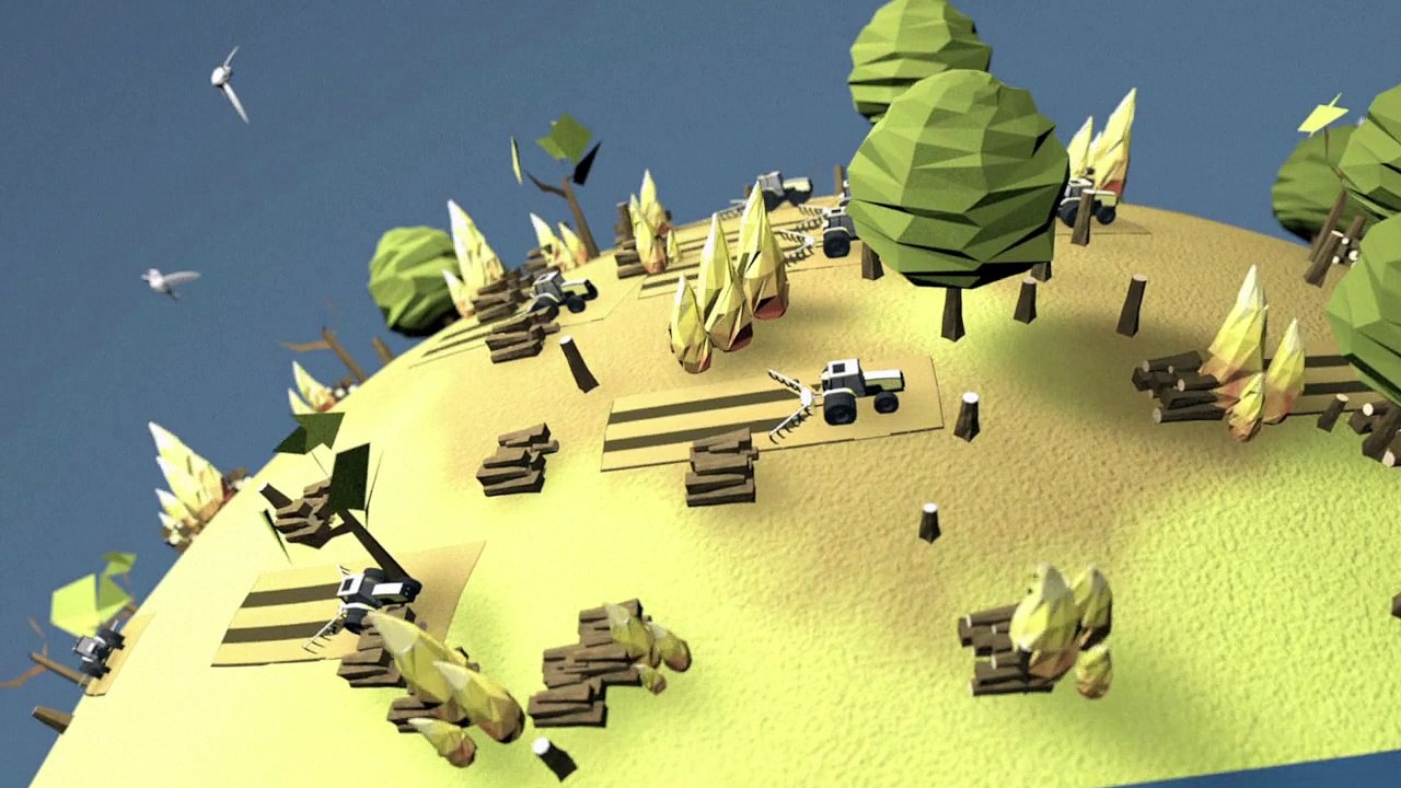 La déforestation