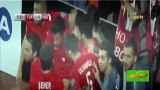 Turkey vs Netherlands 3-0 All Goals & highlights Euro Qualifier 2016