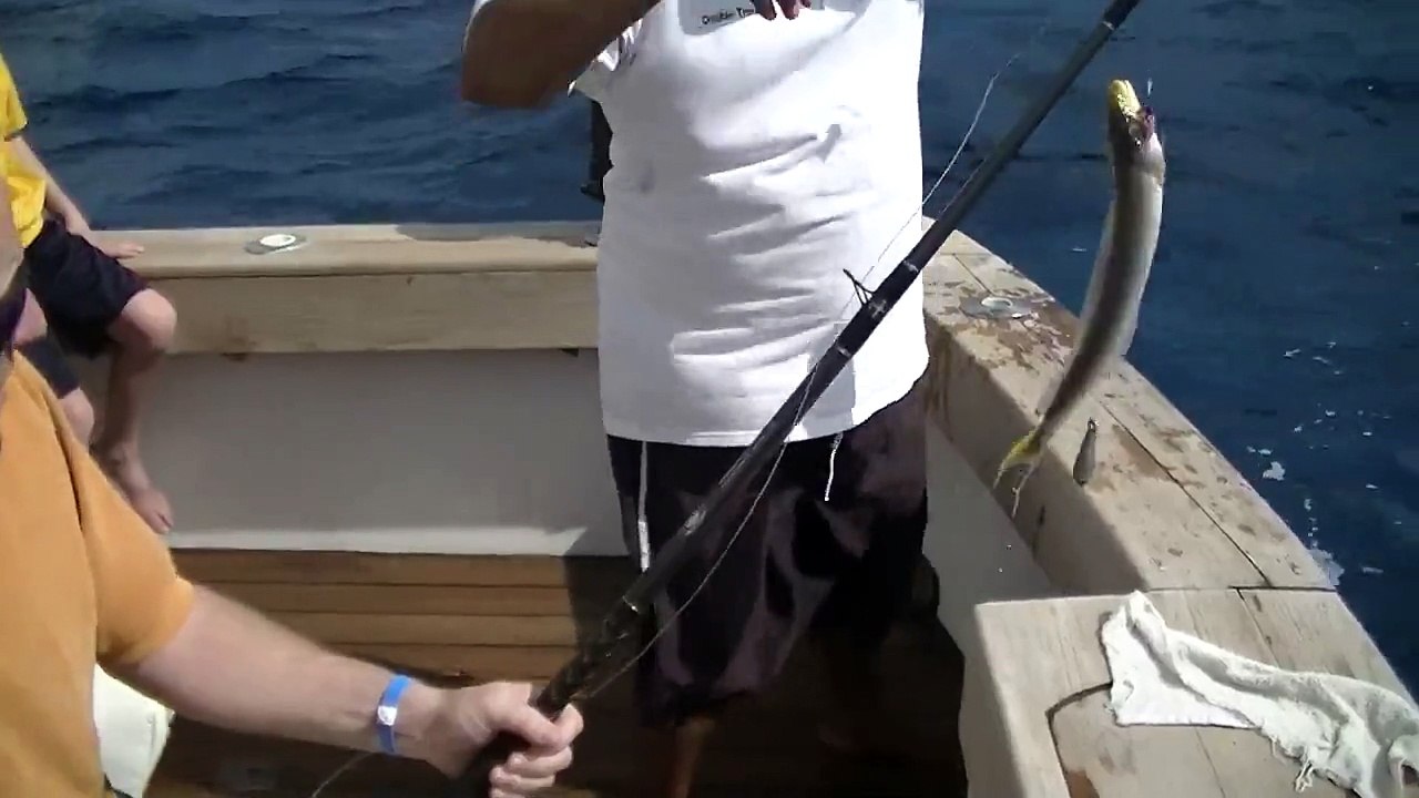 Kenn Deep Sea Fishing   Puerto Morelos Mexico   Banana Fish 2012