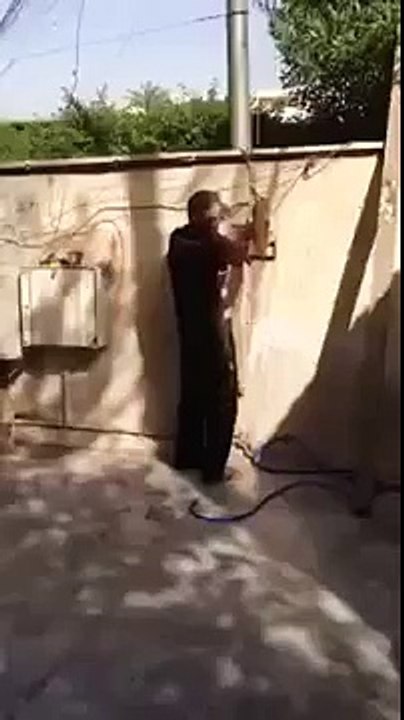 funny videos 2015