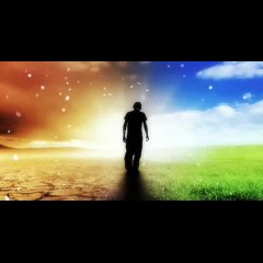 انسان کو دلوں پر محنت کی ضرورت ہے