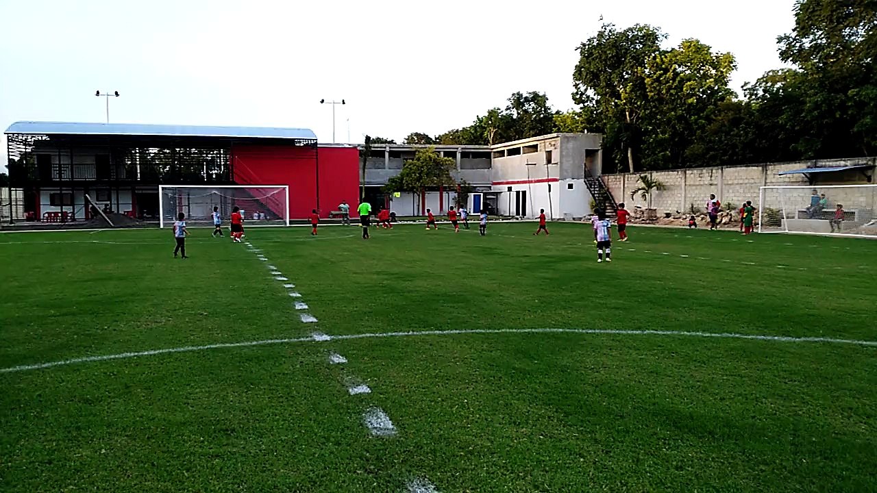 Partido academia