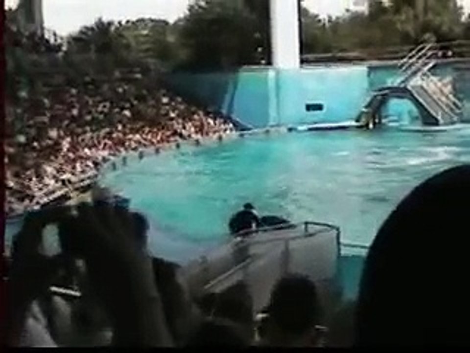 Shamu Show BELIEVE 2008 SeaWorld Orlando Florida *(PART 1)*