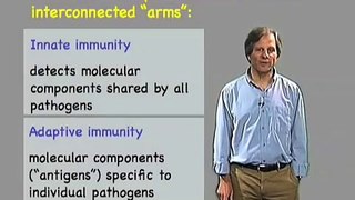 Innate and adaptive immunity - Ira Mellman (Genentech)