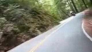 Motorcycling in California Redwoods