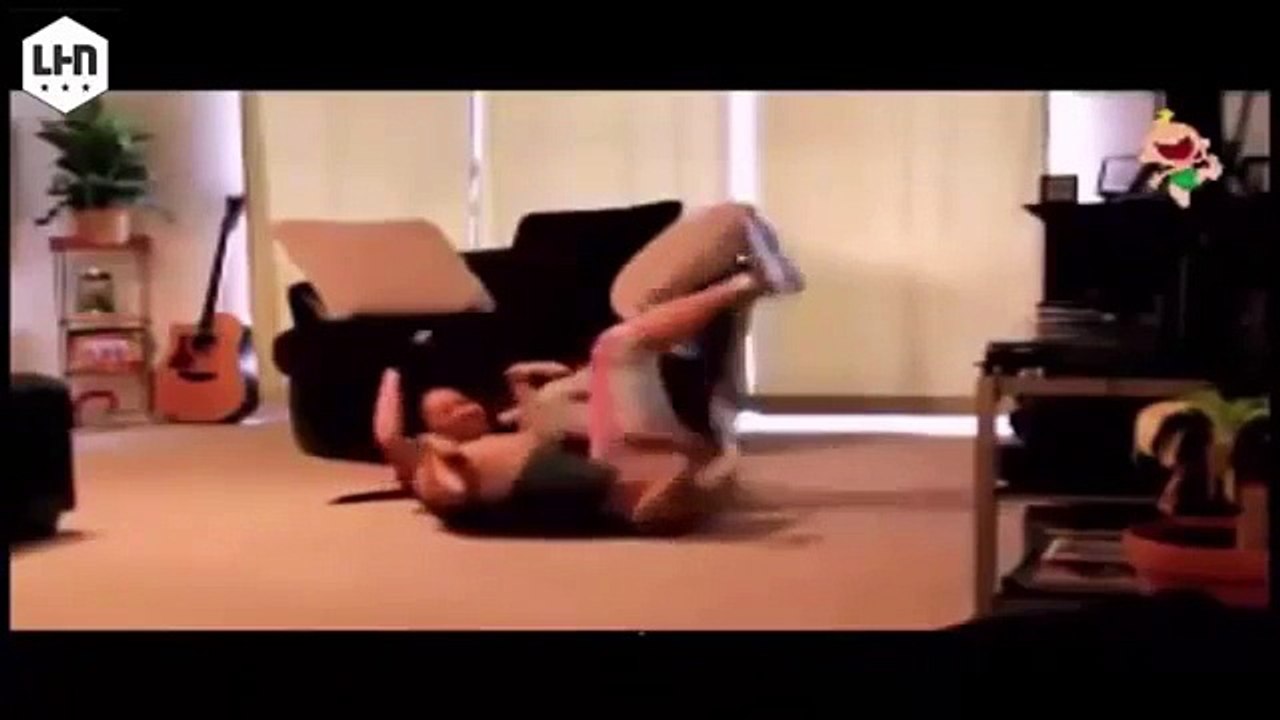 Funny dogs cat videos   Funny Cat Dogs Compilation 2015   Cute Dogs & Cats   20152015