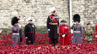 Final Poppy Planted At Tower Of London WWI Memorial