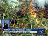 Incendio forestal consume 600 hectáreas de páramo y bosque en San José de Minas
