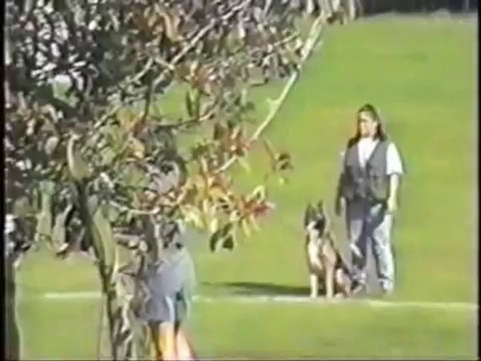 Enzo (Belgian Malinois) - FRIII 1996 NARA French Ring Championship
