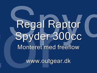 Regal Raptor Spyder 300cc