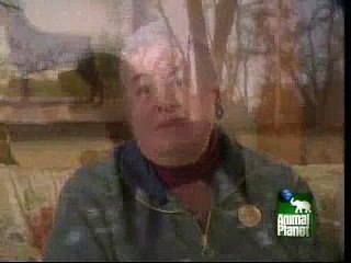 All about rottweilers part 3 of 3