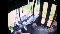 Un ciervo se empotra en un autobús a través del parabrisas