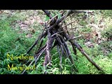 Bigfoot/Sasquatch Structures