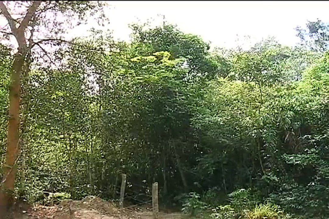 4 de Septiembre de 2015 Altamira 1