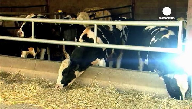 Французские фермеры - мелкий и крупный