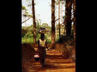 Vie quotidienne dans les villages au Fouta