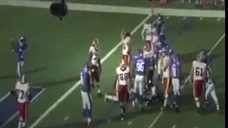 Funny Nfl Football Fights 2015