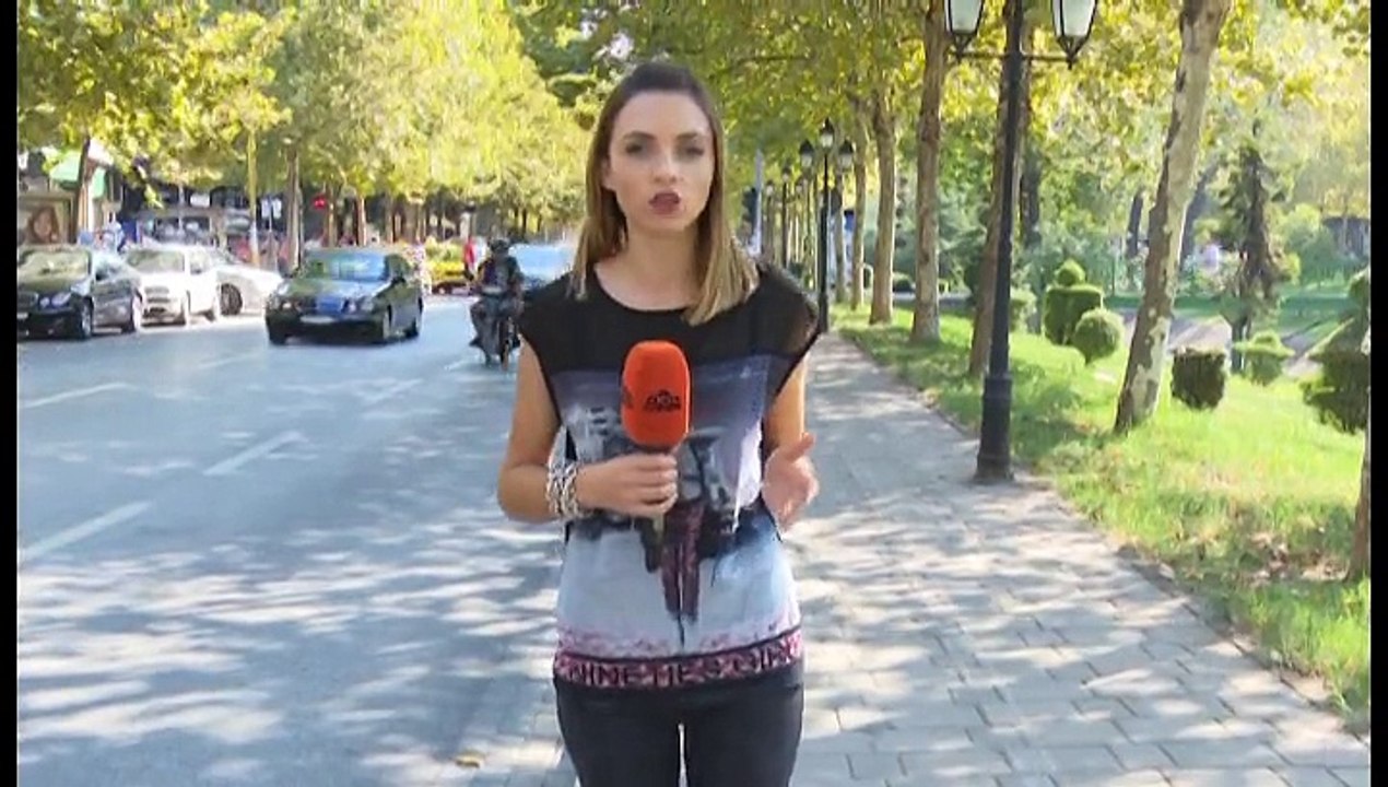 Studio Zapping
