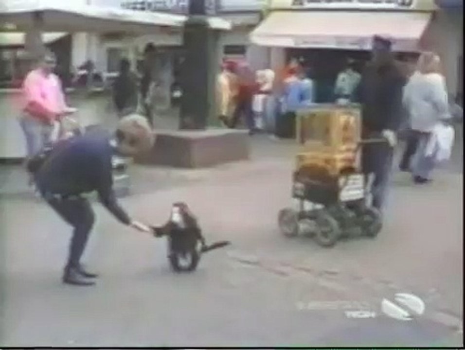 monkey kicks kid in the face