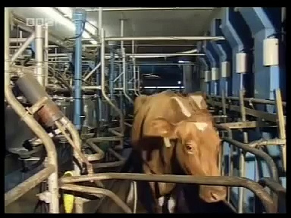 How ice cream is made
