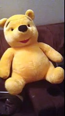 Winnie the Pooh girl version